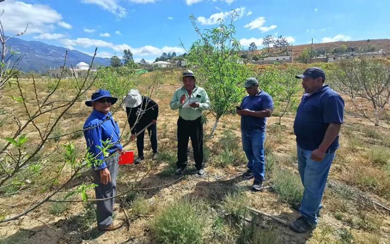 Incrementan conocimientos para proteger cultivos de melocotón