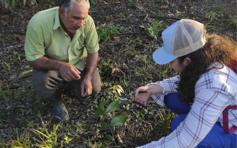 MAGA apoya a productores para obtener planes de manejo forestal