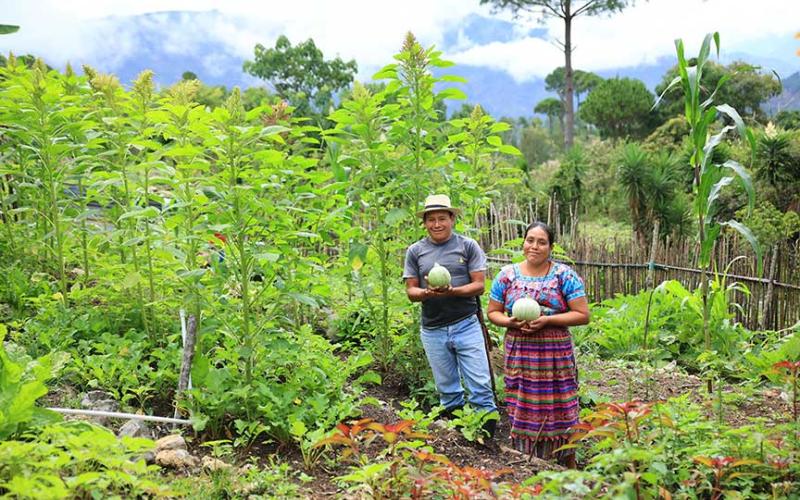 Optimizar la agricultura familiar es una prioridad