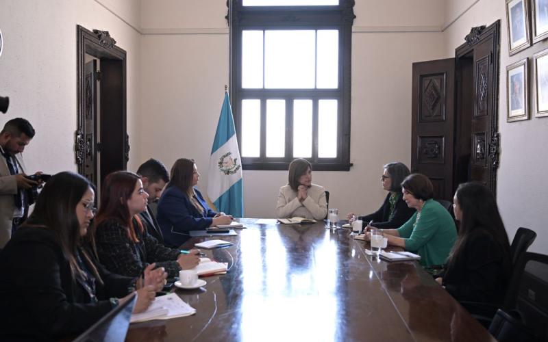 Presidenta en funciones Karin Herrera 