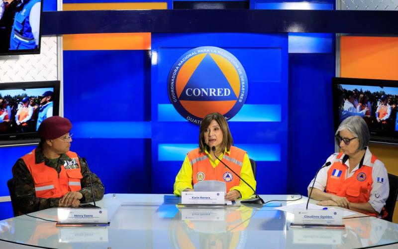 Presidenta en funciones Karin Herrera