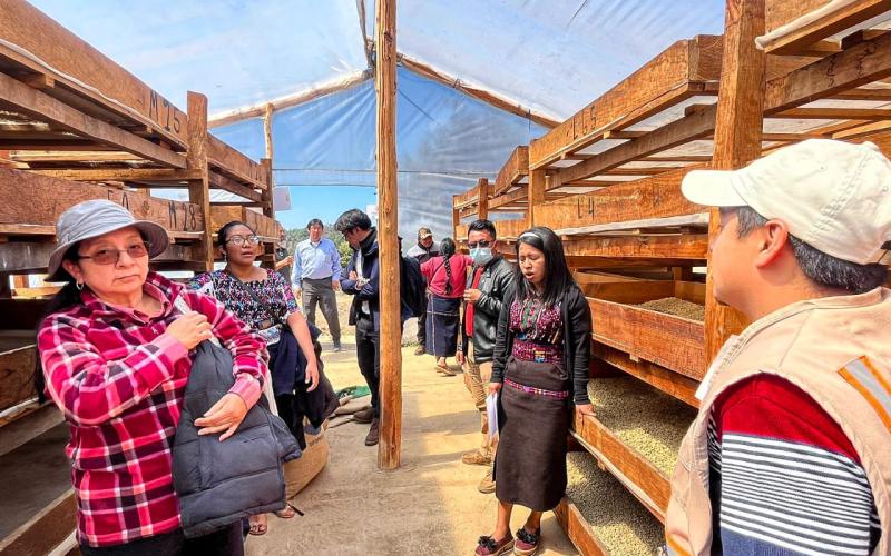 Productores de café intercambian experiencias para mejorar producción