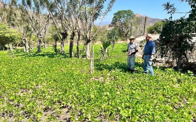 Promueven el desarrollo rural en Chiquimula por medio de asistencia técnica