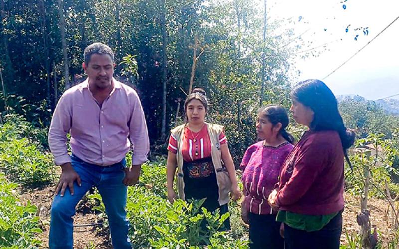 Reciben insumos y asistencia técnica para mejorar producción de papa