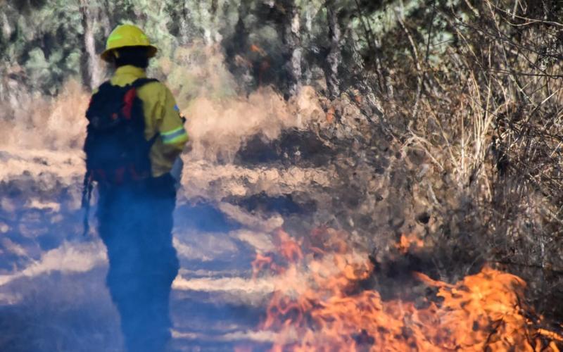 Socialización de acciones en prevención de incendios forestales en Petén