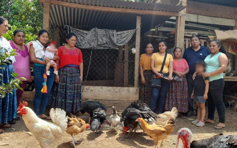 Promueven sistema sostenible de crianza de aves criollas