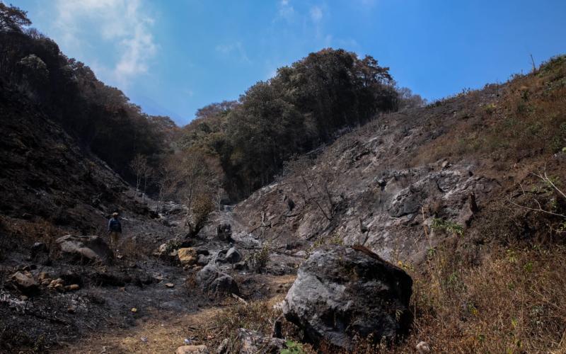Familias de las y los agricultores serán atendidas con la entrega de alimentos