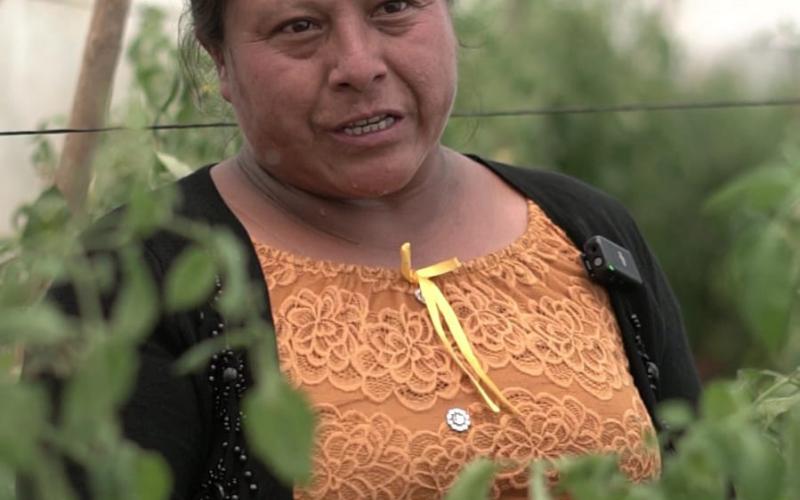 Agricultoras de San Antonio Palopó son ejemplo de trabajo