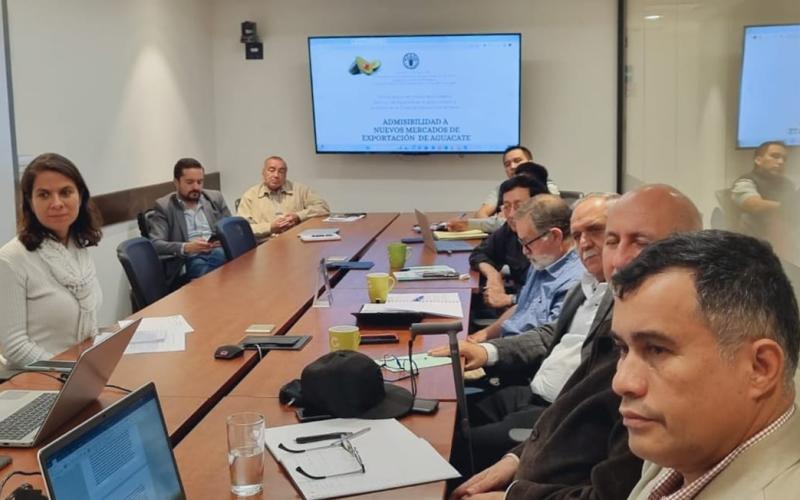 Analizan impulso de la Agrocadena de Aguacate para que ingrese a nuevos mercados de exportación