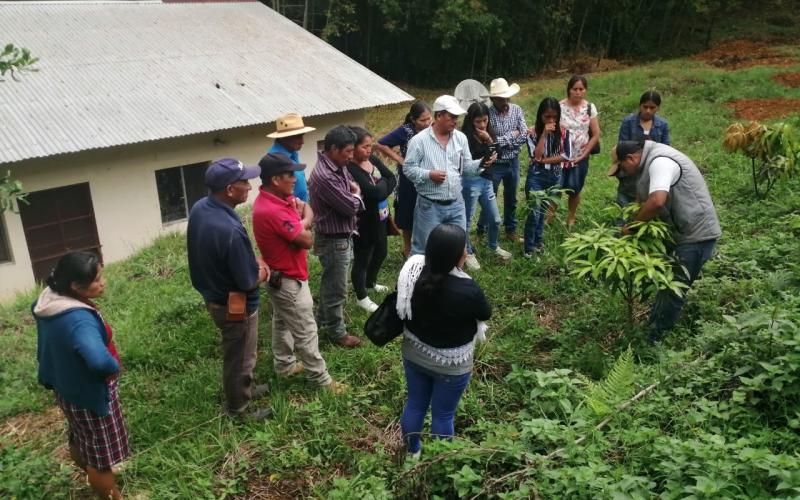 Aprenden procesos de conservación de suelos