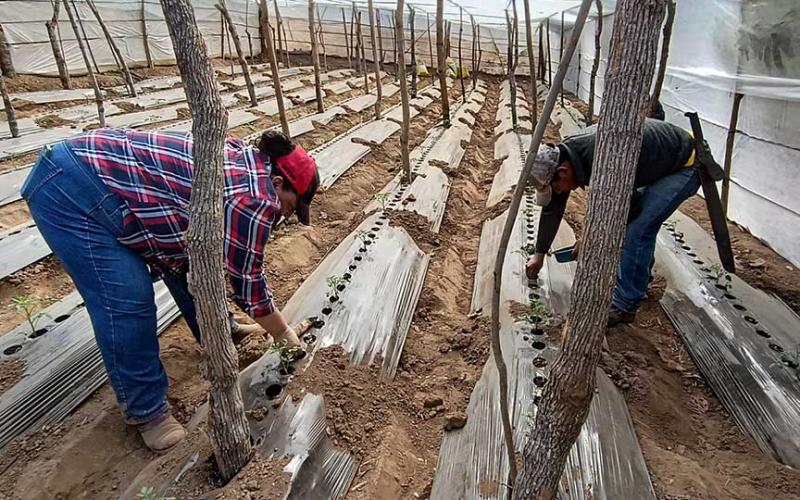 Aprenden uso adecuado de agroquímicos