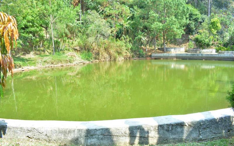 Aproveche las lluvias para captación de agua