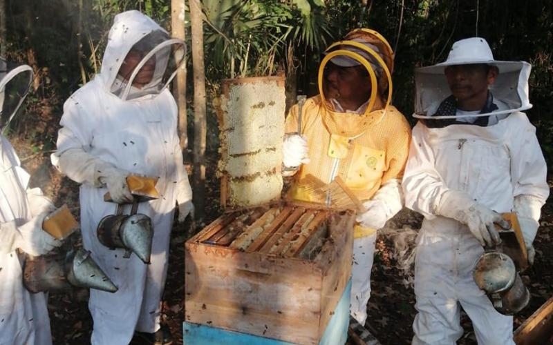 Capacitan a productores de miel en Petén 