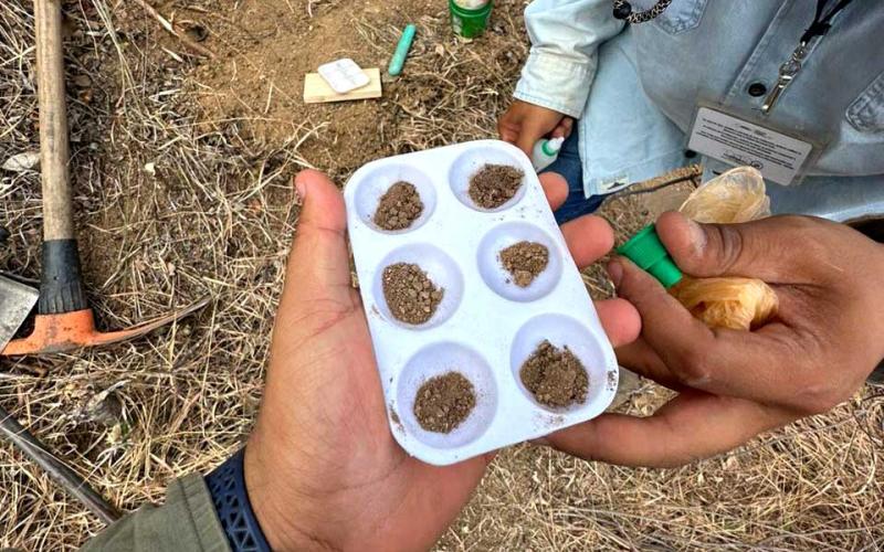 Conocer composición de suelos permite saber qué sembrar