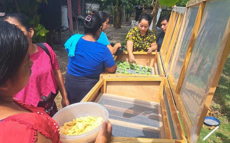 Deshidratación de Alimentos impulsará economía en Petén