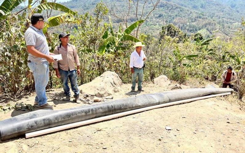 Elaboran estanques para el cultivo de tilapia