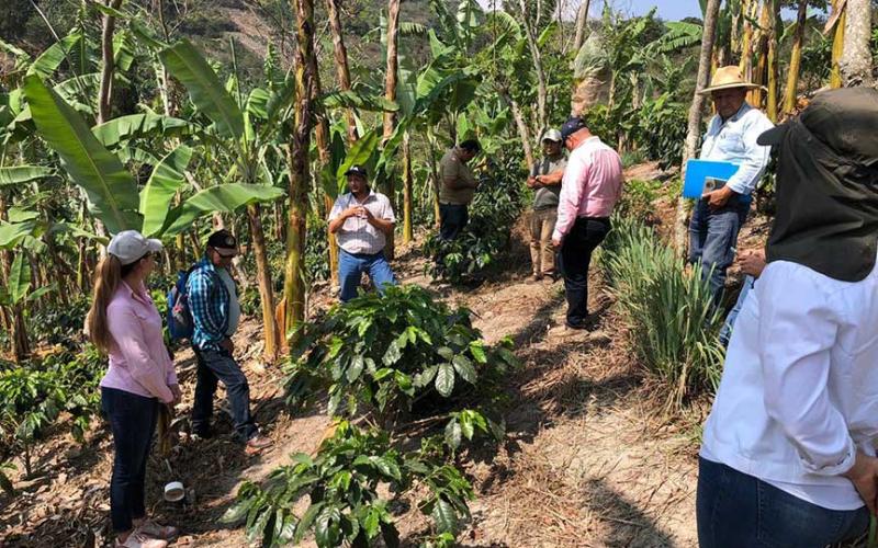 Enseñan prácticas de conservación de suelos en el corredor seco