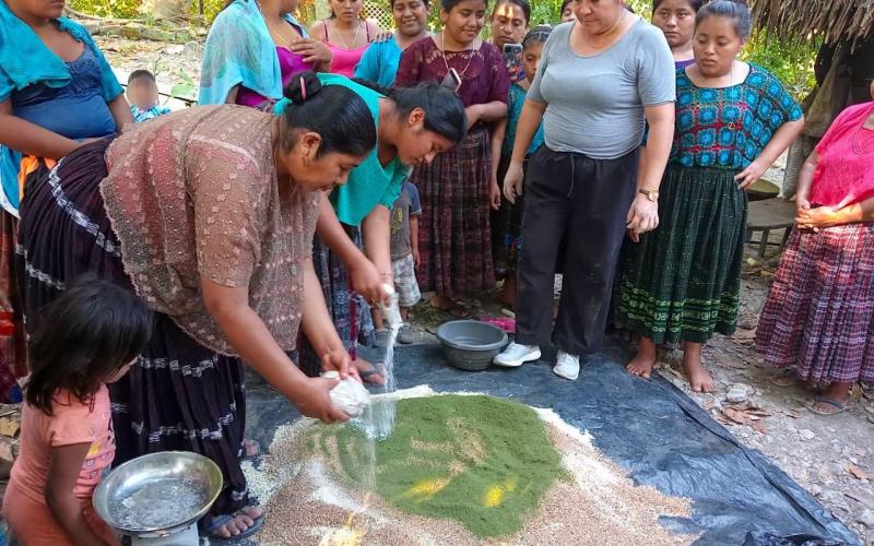 Familias rurales son capacitadas en buenas prácticas agrícolas