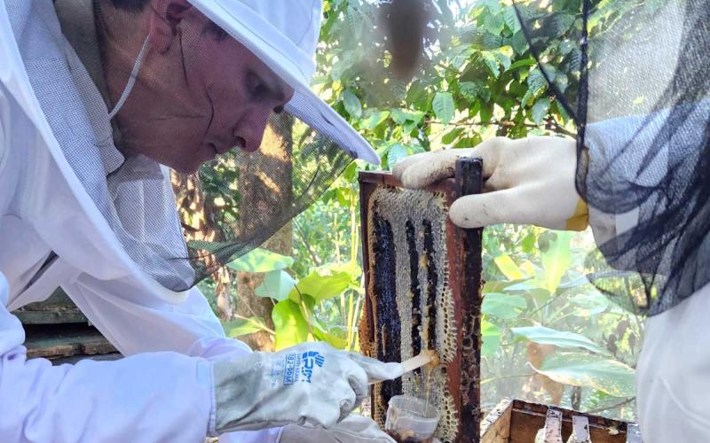 Fortalecen acciones para garantizar la inocuidad de la miel y generar una producción segura