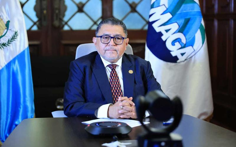 Guatemala avanza hacia la innovación digital en la agricultura familiar