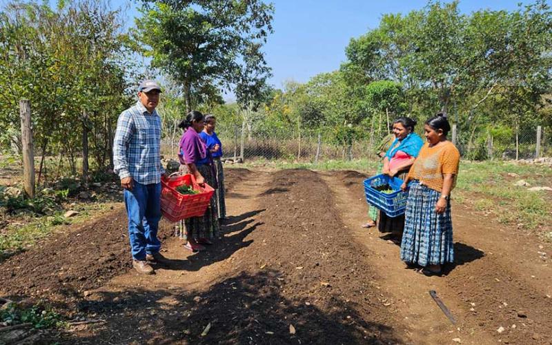 Impulsan creación de huertos en Petén