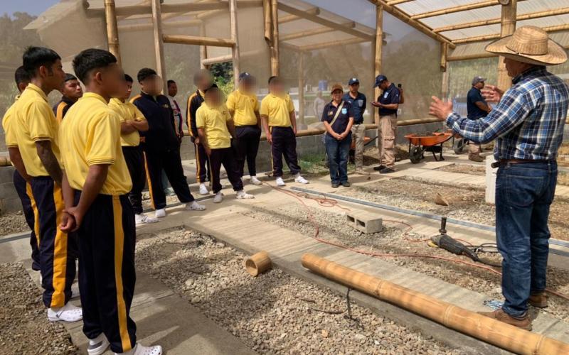 Jóvenes aprende procesos de agricultura y cuidados de animales de granja