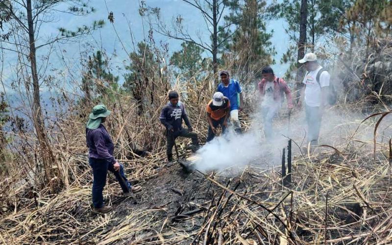 Monitorean cultivos luego de incendio en Cerro Belenju