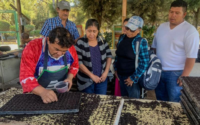 Mujeres de Villa Nueva aplican buenas prácticas de agricultura en huerto comunal