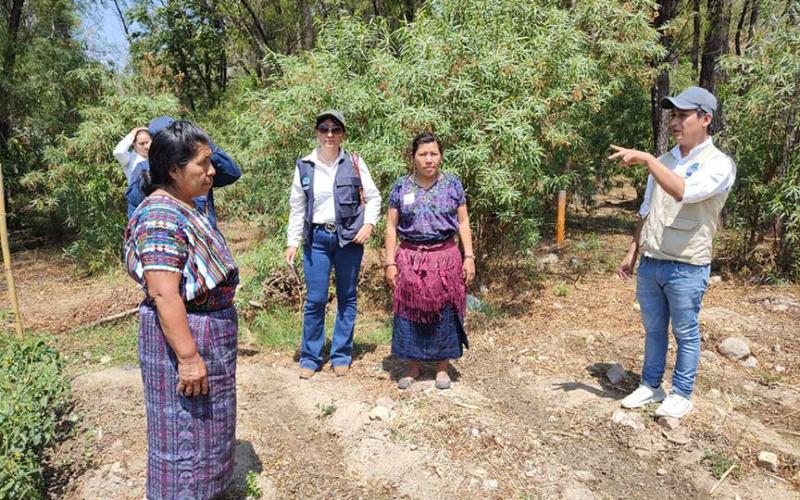 Mujeres aprenden a combatir plagas de hortalizas