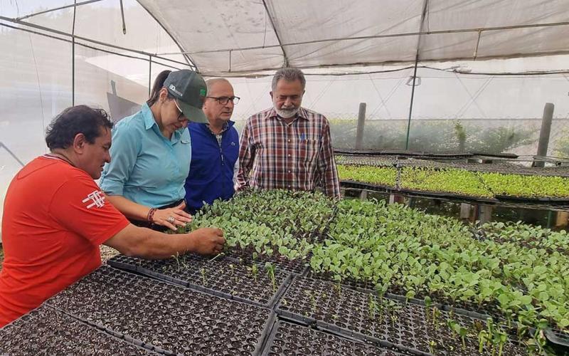 Promueven el fortalecimiento de acciones para aumentar la disponibilidad de alimentos