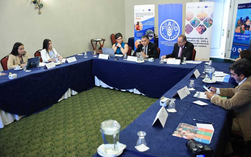 Proyecto REME apoyará a familias agricultoras en tres departamentos