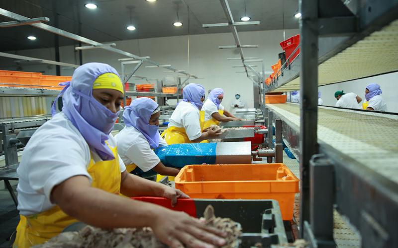 Verifican procesos de inocuidad en planta atunera