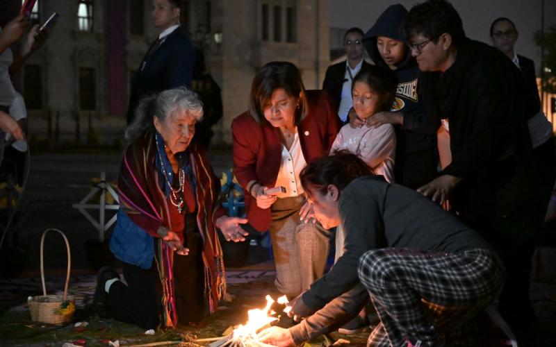 Vicepresidenta Karin Herrera