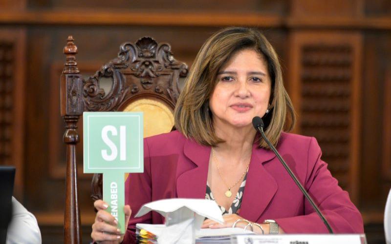 Karin Herrera, Vicepresidenta