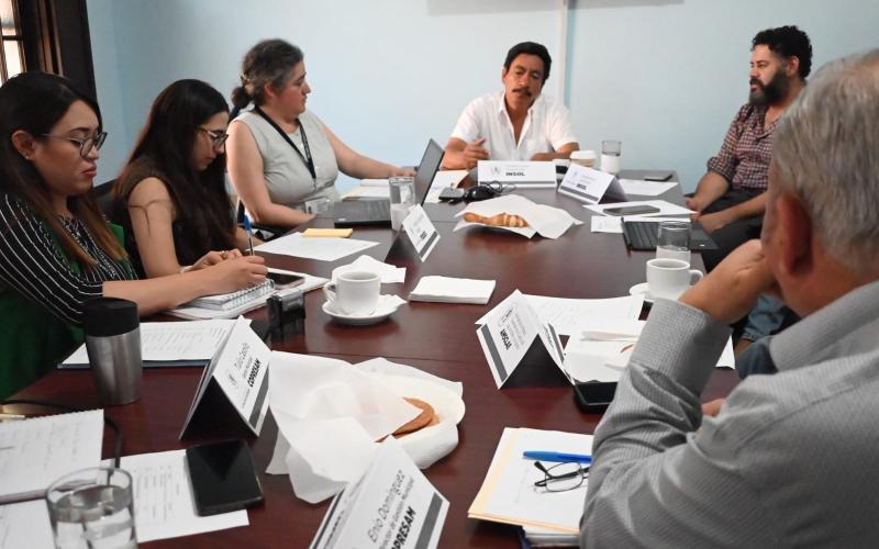 Comisionada Alida Vicente