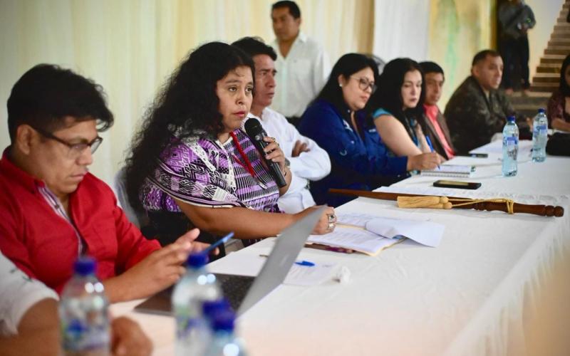 Comisionada Alida Vicente