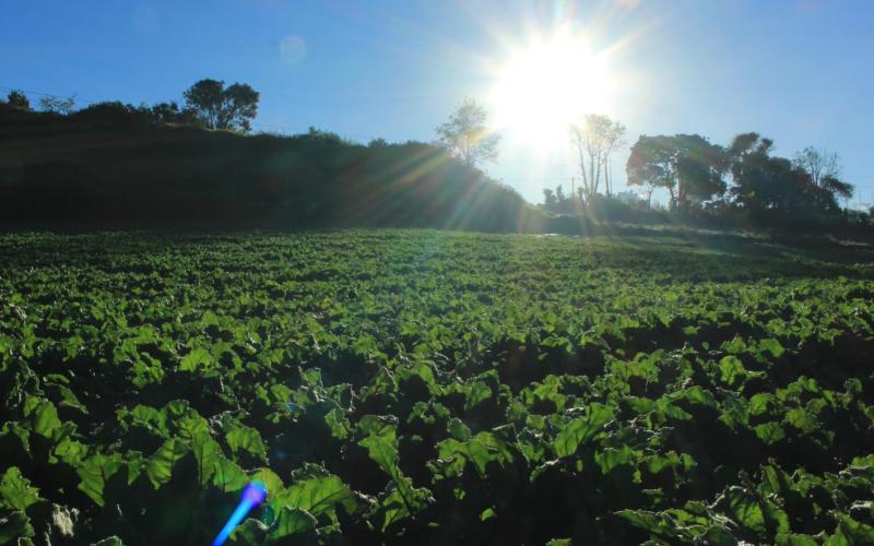 Altas temperaturas y lluvia marcan primera semana de abril