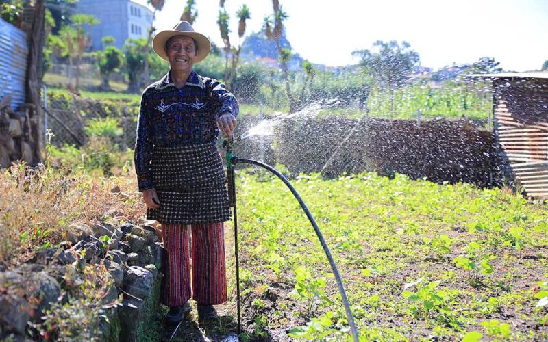 Beneficios de la tecnificación del riego