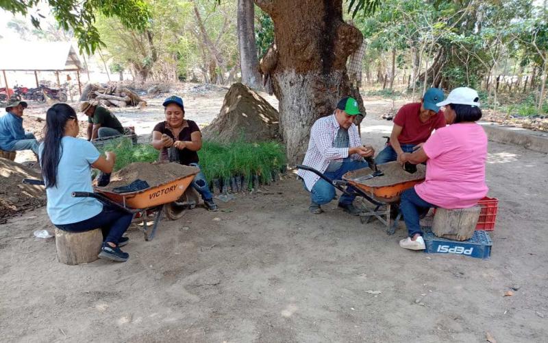 Brindan apoyo técnico en Zacapa para fortalecimiento de plantas de café