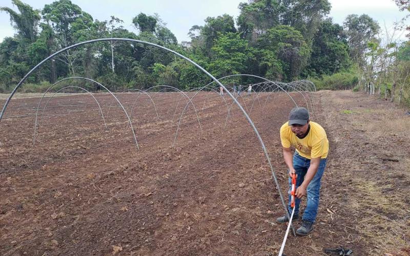Construyen macrotúneles para siembra de hortalizas en Petén