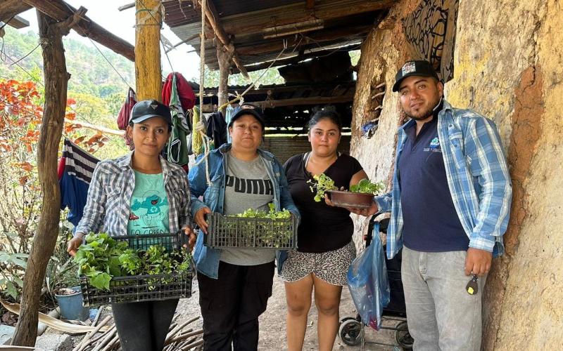 Entregan pilones de hortalizas en San Juan Ermita