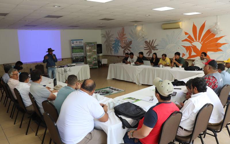 Fomentan ganadería sostenible en Petén