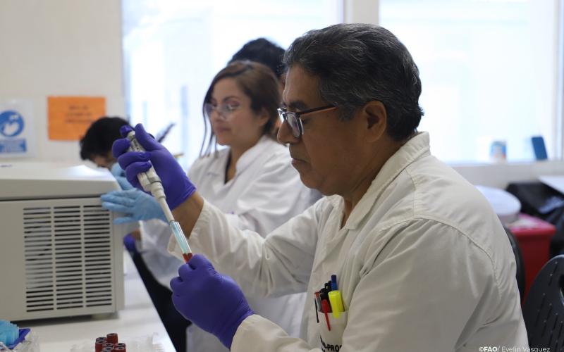 Fortalecimiento de los sistemas de vigilancia del Departamento Sanidad Animal