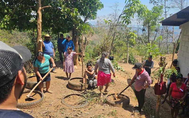 Huertos medicinales y familiares florecen en Zacapa