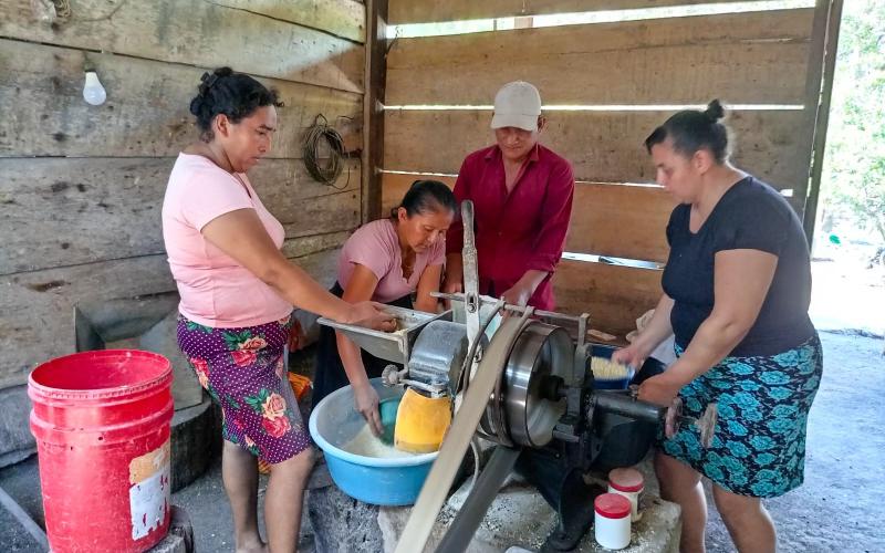 Impulsan avicultura sostenible en Sayaxché, Petén