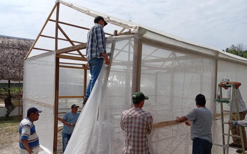 Invernaderos impulsan la diversificación agrícola en Petén