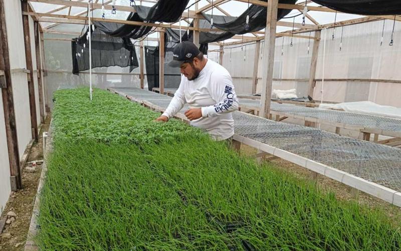 Mejoran calidad de pilones en Petén