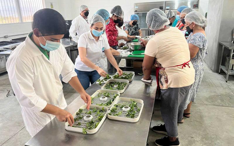 Mujeres aprenden técnicas de deshidratación de alimentos