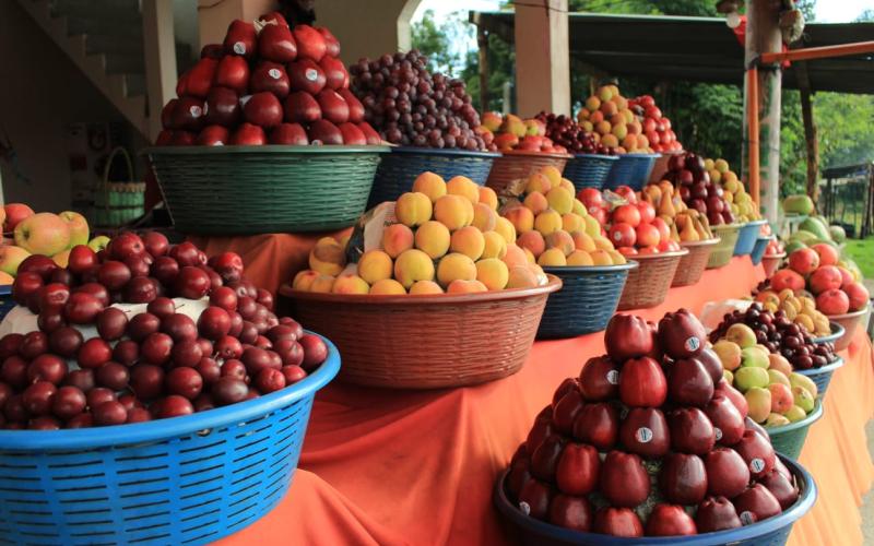 Producción de frutas en el país impulsa la generación de empleo y beneficios para la salud