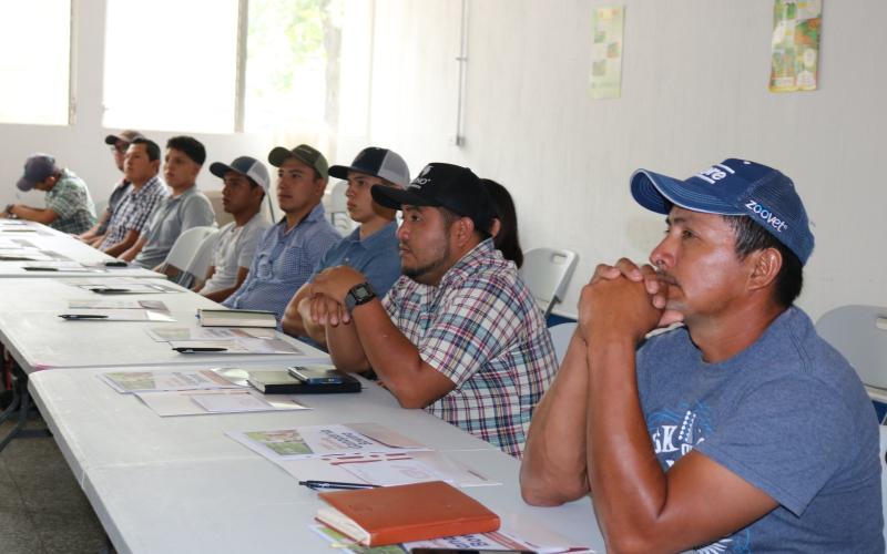 Productores de ganado bovino de Petén son capacitados en buenas prácticas